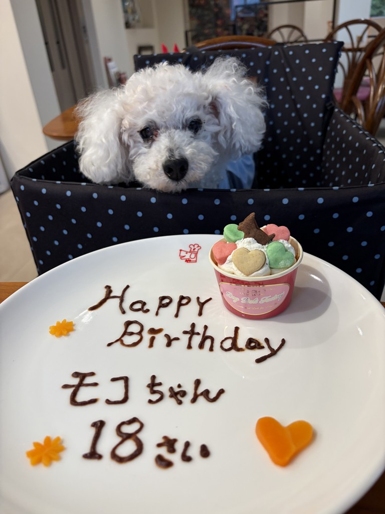 moko_age18